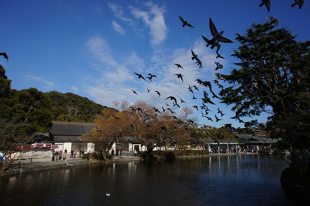Tsuruoka