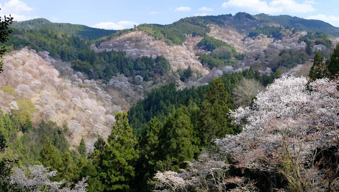 吉野山