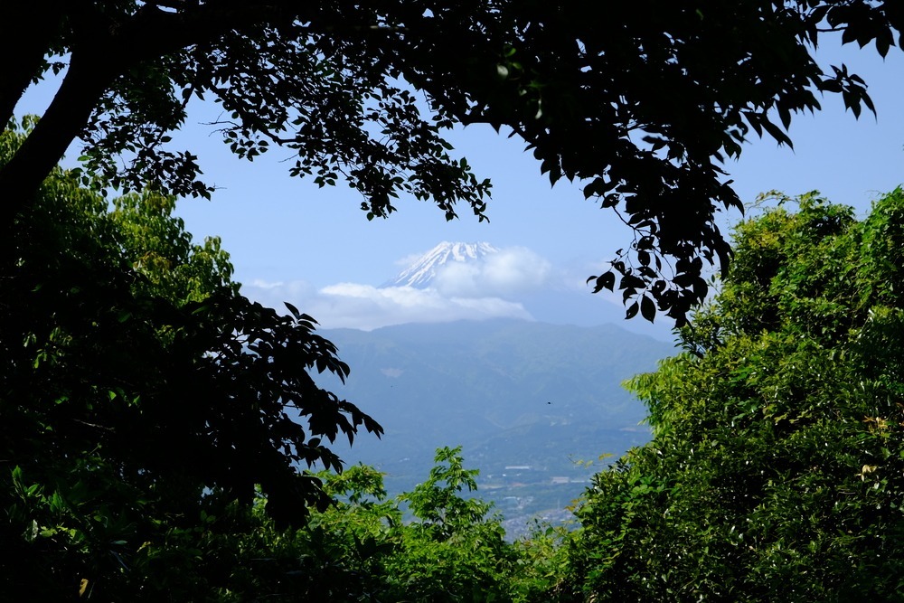 徳倉