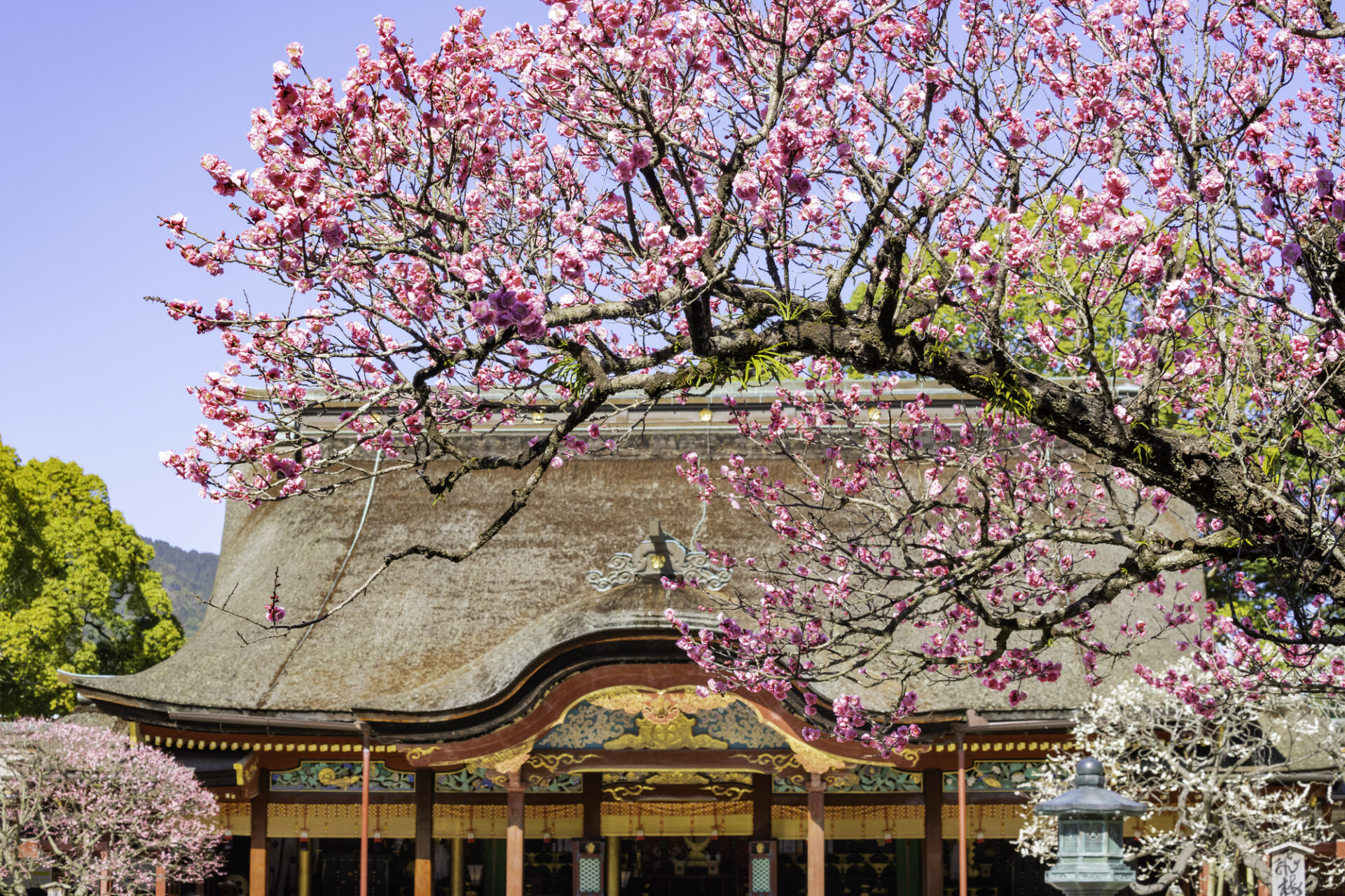 朝日地蔵尊