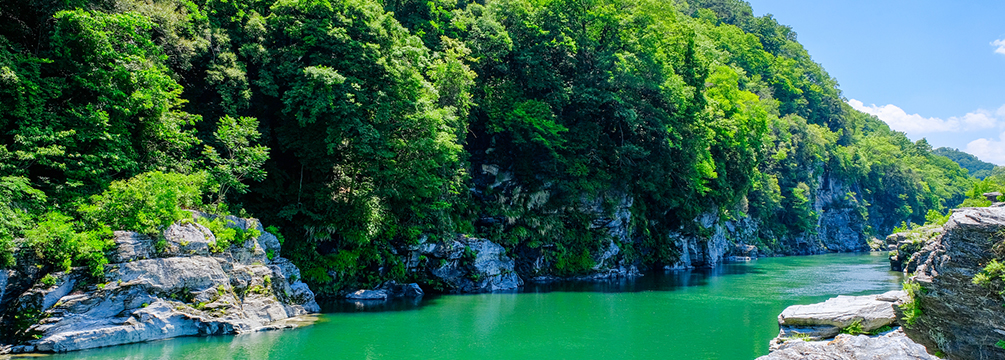 埼玉県秩父郡