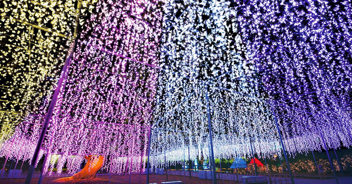 あしかがフラワーパーク