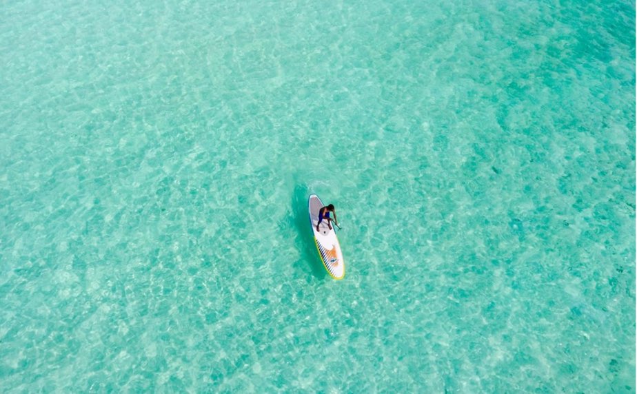 房総フラワーライン