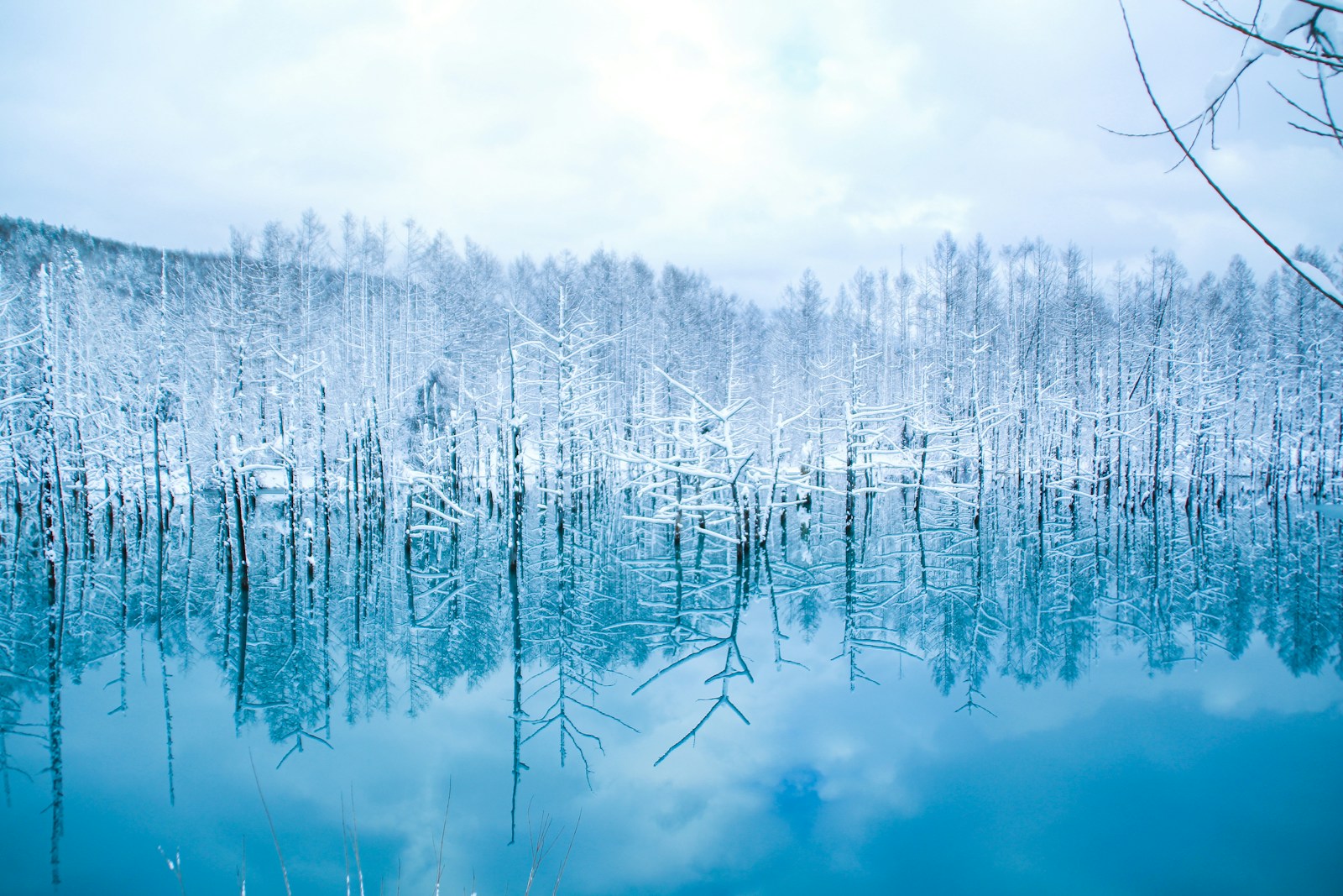 【北海道】2025はこだてクリスマスファンタジー徹底ガイド！海に浮かぶ巨大ツリー、花火、スープバーを完全解説