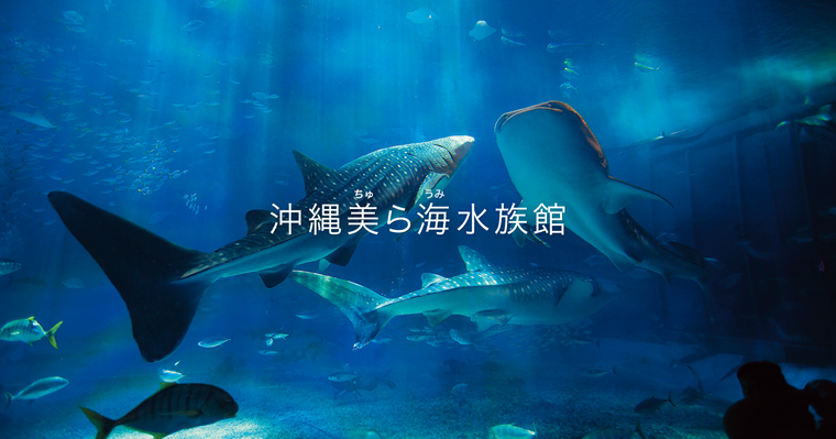 沖縄美ら海水族館