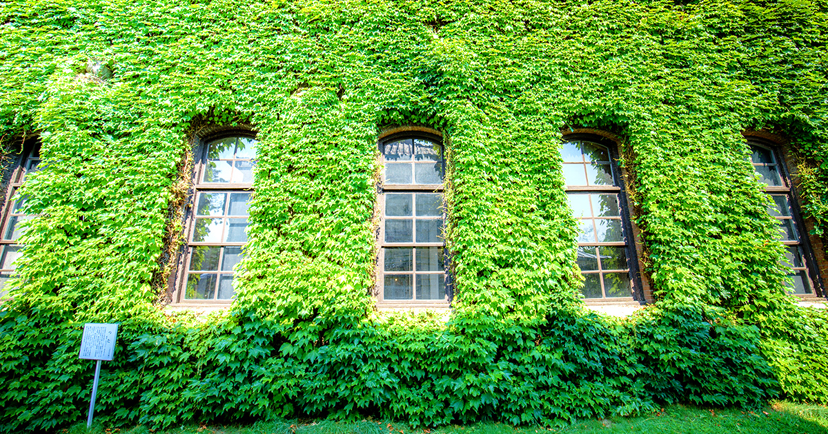 倉敷アイビースクエア